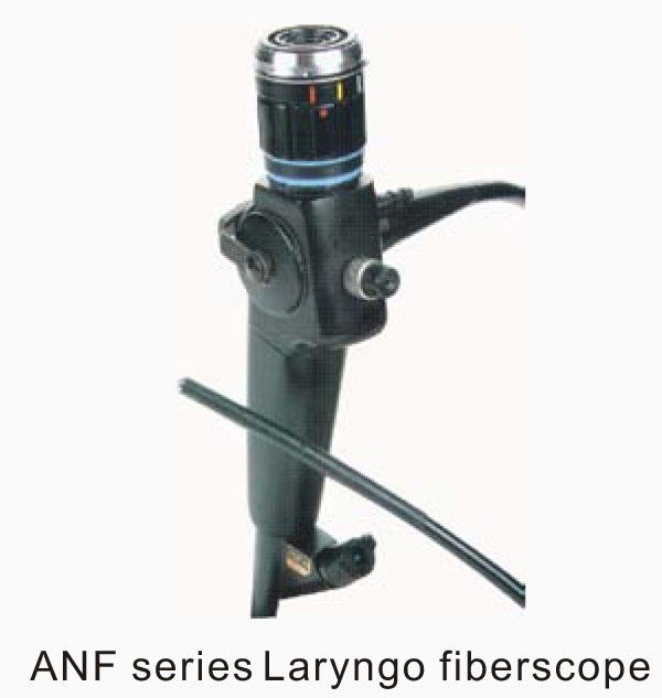 ANF-6
