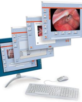 endodigi