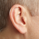 Tinnitus - Image 2